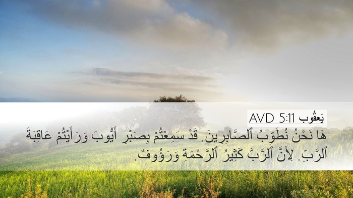 يَعقُوب 5:11 AVD Bible Verse Image