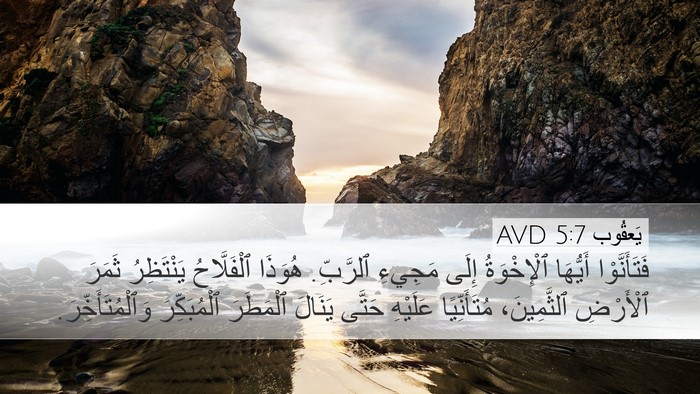 يَعقُوب 5:7 AVD Bible Verse Image