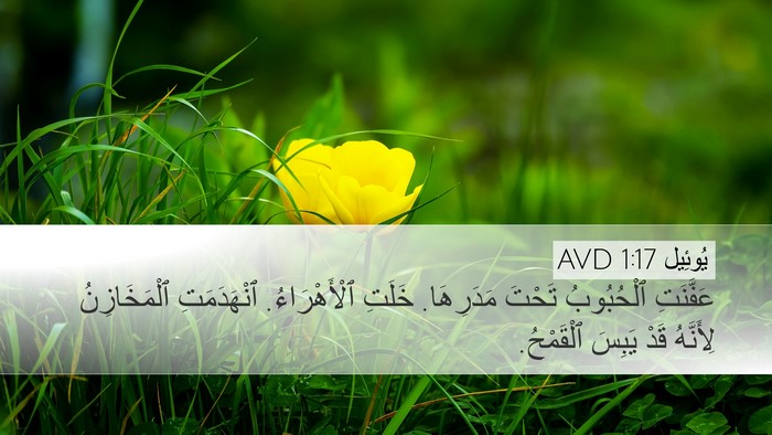 يُوئِيل 1:17 AVD Bible Verse Image
