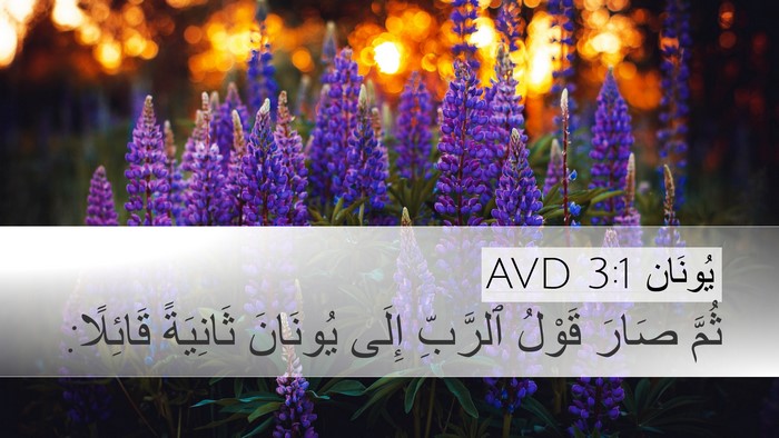 يُونَان 3:1 AVD Bible Verse Image