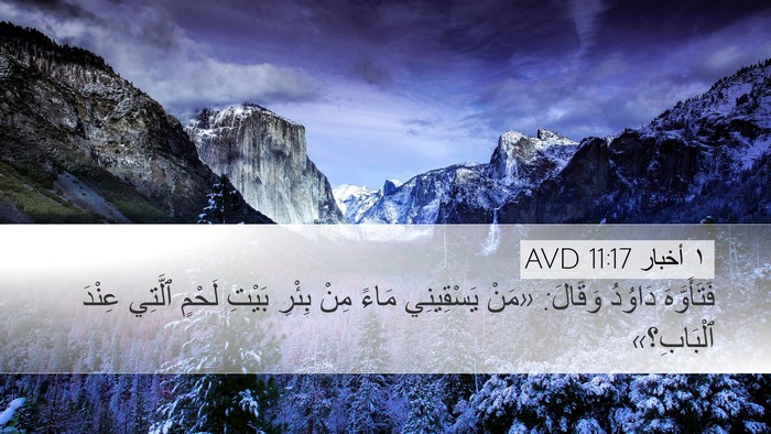 ١ أخبار 11:17 AVD Bible Verse Image
