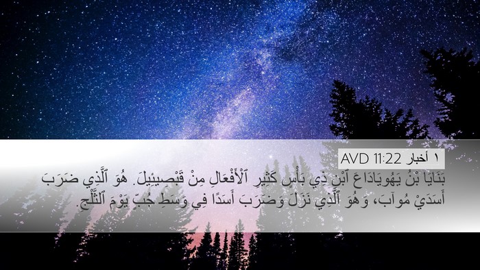 ١ أخبار 11:22 AVD Bible Verse Image