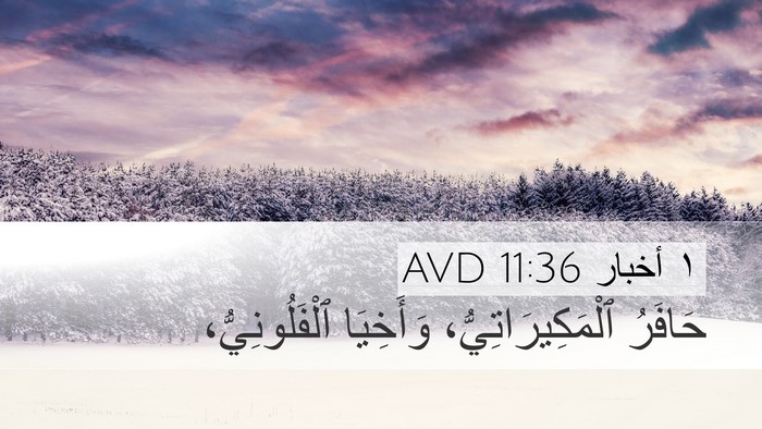 ١ أخبار 11:36 AVD Desktop Wallpaper - حَافَرُ ٱلْمَكِيرَاتِيُّ، - Desktop Bible Verse Wallpaper