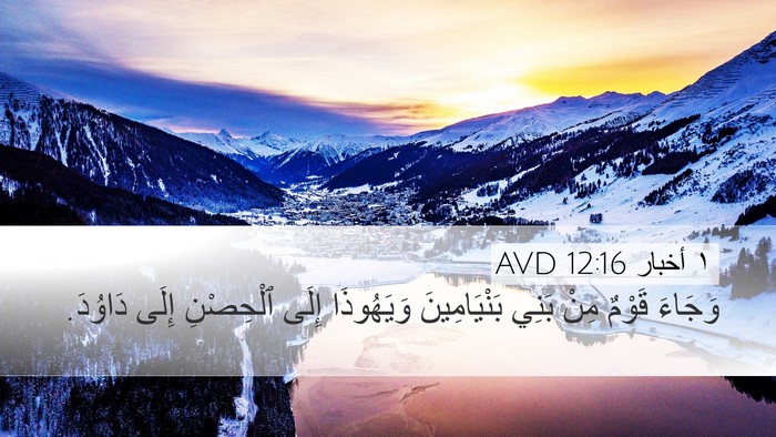 ١ أخبار 12:16 AVD Bible Verse Image