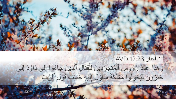 ١ أخبار 12:23 AVD Bible Verse Image