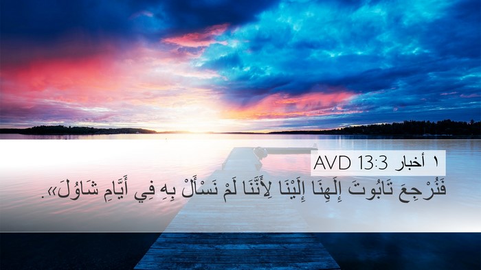 ١ أخبار 13:3 AVD Bible Verse Image