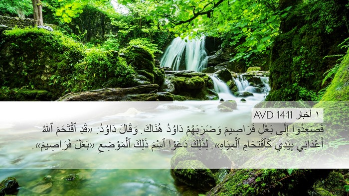 ١ أخبار 14:11 AVD Bible Verse Image