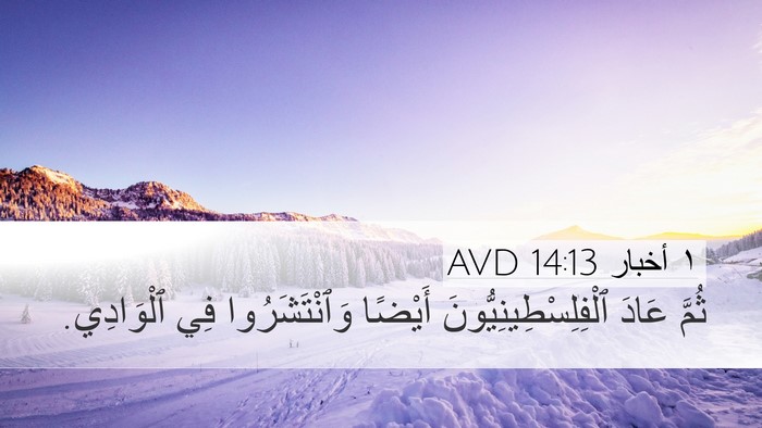 ١ أخبار 14:13 AVD Bible Verse Image