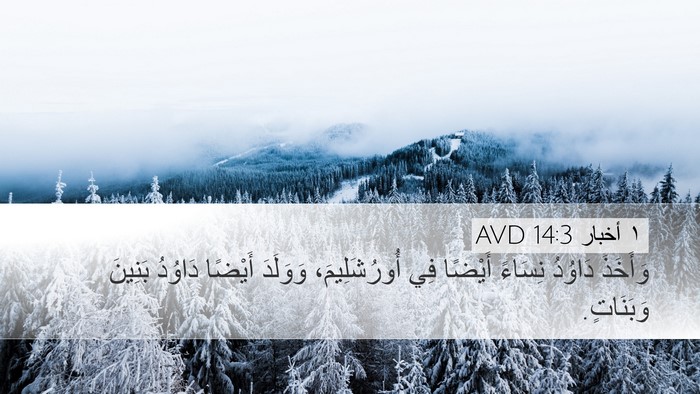 ١ أخبار 14:3 AVD Desktop Wallpaper - وَأَخَذَ دَاوُدُ نِسَاءً - Desktop Bible Verse Wallpaper