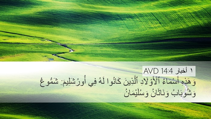١ أخبار 14:4 AVD Bible Verse Image