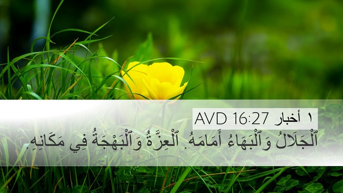 ١ أخبار 16:27 AVD Desktop Wallpaper - ٱلْجَلَالُ وَٱلْبَهَاءُ - Desktop Bible Verse Wallpaper