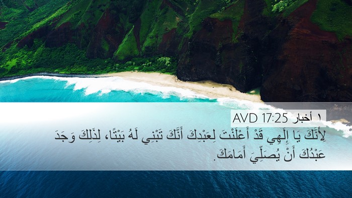 ١ أخبار 17:25 AVD Bible Verse Image