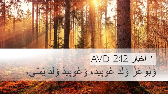 ١ أخبار 2:12 AVD Desktop Wallpaper - وَبُوعَزُ وَلَدَ - Desktop Bible Verse Wallpaper