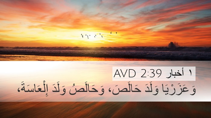 ١ أخبار 2:39 AVD Desktop Wallpaper - وَعَزَرْيَا وَلَدَ - Desktop Bible Verse Wallpaper