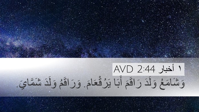 ١ أخبار 2:44 AVD Desktop Wallpaper - وَشَامَعُ وَلَدَ رَاقَمَ - Desktop Bible Verse Wallpaper