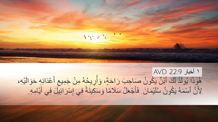 ١ أخبار 22:9 AVD Bible Verse Image