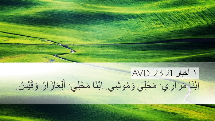 ١ أخبار 23:21 AVD Bible Verse Image