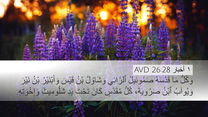 ١ أخبار 26:28 AVD Bible Verse Image
