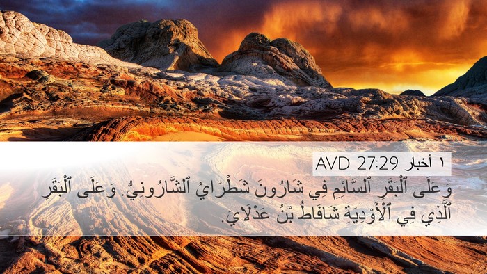 ١ أخبار 27:29 AVD Bible Verse Image