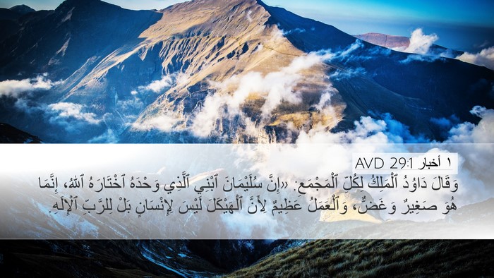 ١ أخبار 29:1 AVD Bible Verse Image