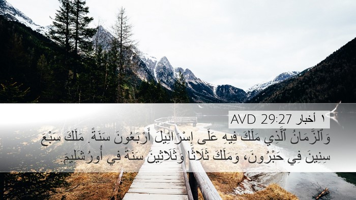 ١ أخبار 29:27 AVD Bible Verse Image