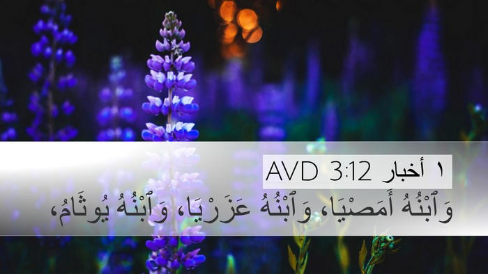 ١ أخبار 3:12 AVD Bible Verse Image