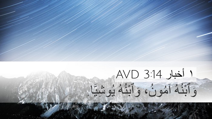 ١ أخبار 3:14 AVD Bible Verse Image