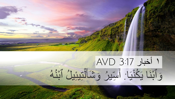 ١ أخبار 3:17 AVD Bible Verse Image