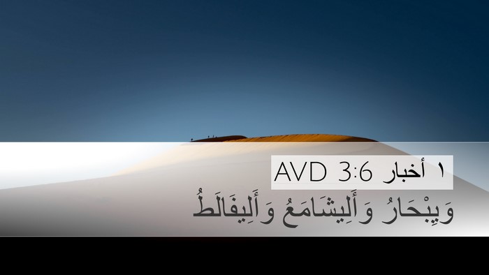 ١ أخبار 3:6 AVD Bible Verse Image