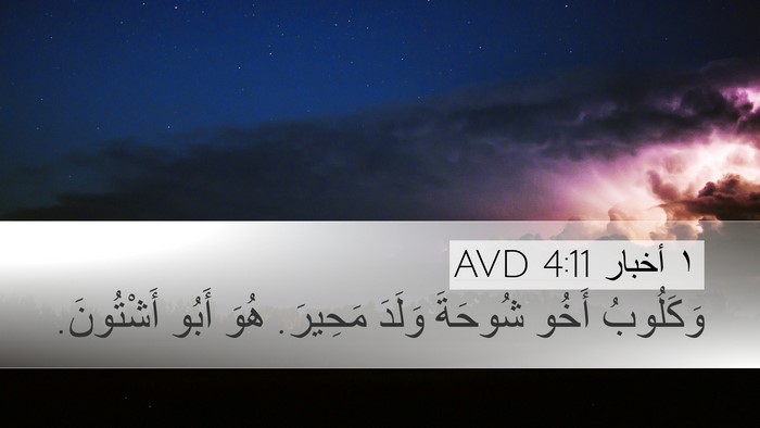١ أخبار 4:11 AVD Desktop Wallpaper - وَكَلُوبُ أَخُو شُوحَةَ - Desktop Bible Verse Wallpaper