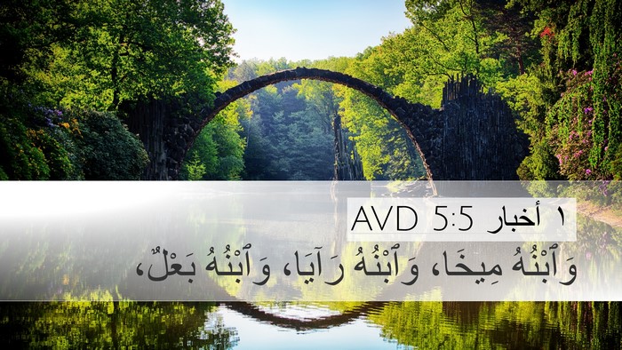 ١ أخبار 5:5 AVD Desktop Wallpaper - وَٱبْنُهُ مِيخَا، - Desktop Bible Verse Wallpaper