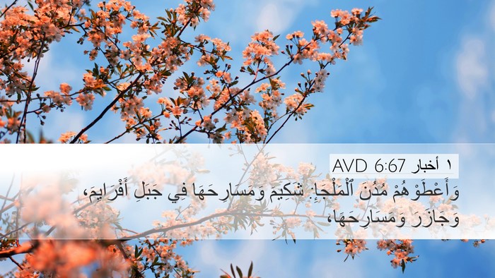 ١ أخبار 6:67 AVD Desktop Wallpaper - وَأَعْطَوْهُمْ مُدُنَ - Desktop Bible Verse Wallpaper