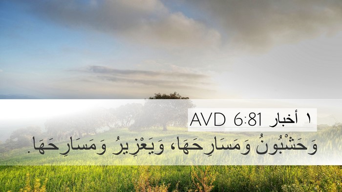 ١ أخبار 6:81 AVD Bible Verse Image