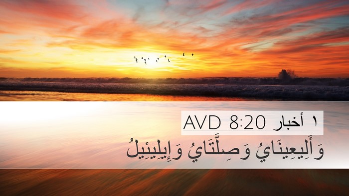 ١ أخبار 8:20 AVD Desktop Wallpaper - وَأَلِيعِينَايُ - Desktop Bible Verse Wallpaper