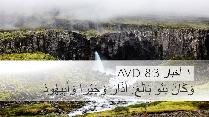 ١ أخبار 8:3 AVD Desktop Wallpaper - وَكَانَ بَنُو بَالَعَ: - Desktop Bible Verse Wallpaper
