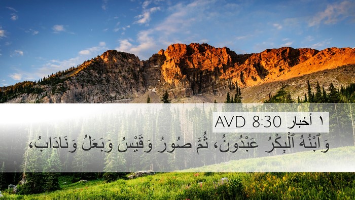 ١ أخبار 8:30 AVD Desktop Wallpaper - وَٱبْنُهُ ٱلْبِكْرُ - Desktop Bible Verse Wallpaper