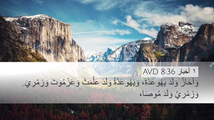 ١ أخبار 8:36 AVD Bible Verse Image