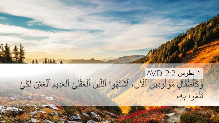 ١ بطرس 2:2 AVD Bible Verse Image
