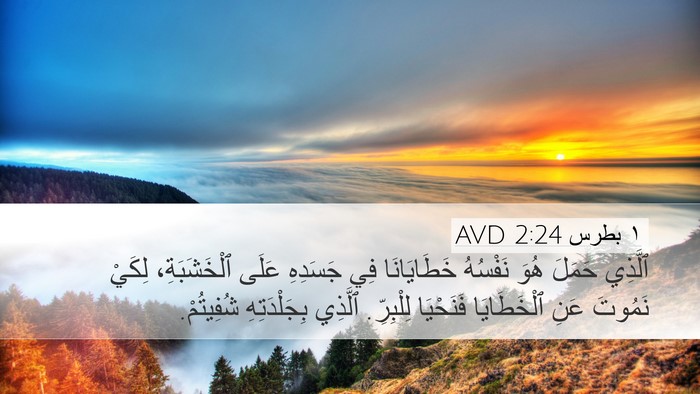 ١ بطرس 2:24 AVD Bible Verse Image