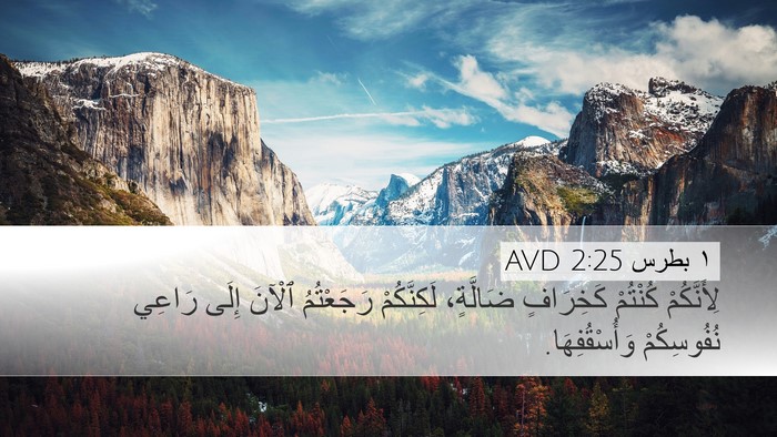 ١ بطرس 2:25 AVD Bible Verse Image