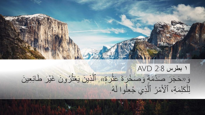 ١ بطرس 2:8 AVD Bible Verse Image