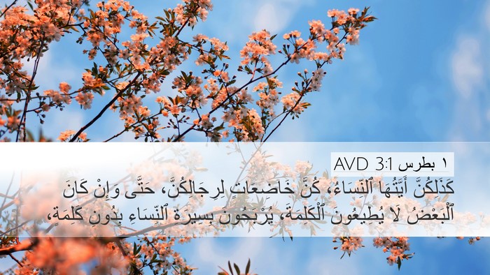 ١ بطرس 3:1 AVD Bible Verse Image