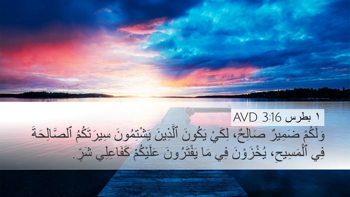 ١ بطرس 3:16 AVD Bible Verse Image