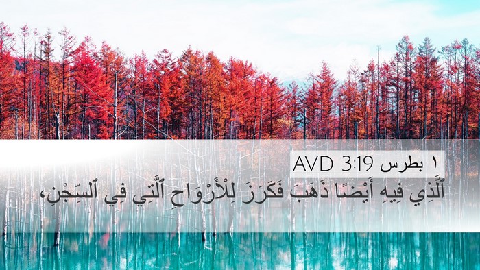 ١ بطرس 3:19 AVD Bible Verse Image