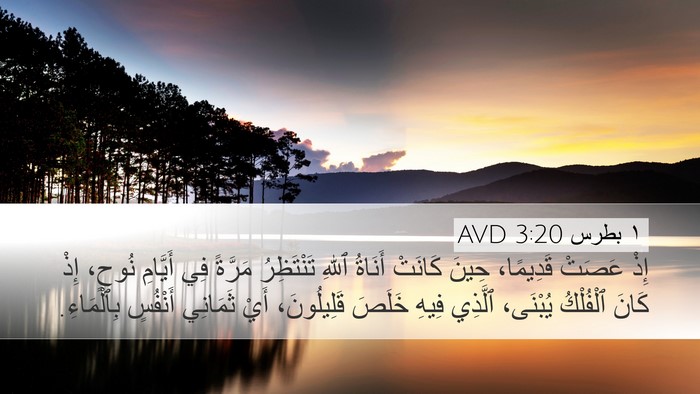 ١ بطرس 3:20 AVD Bible Verse Image