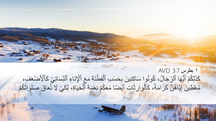 ١ بطرس 3:7 AVD Bible Verse Image