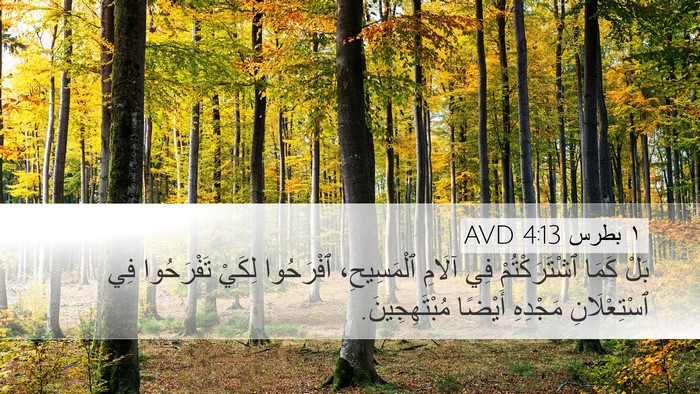 ١ بطرس 4:13 AVD Bible Verse Image