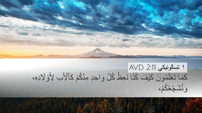 ١ تسالونيكي 2:11 AVD Bible Verse Image
