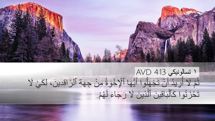 ١ تسالونيكي 4:13 AVD Bible Verse Image