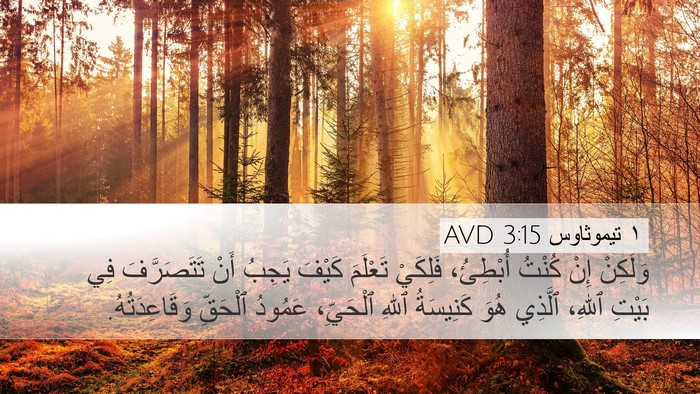 ١ تيموثاوس 3:15 AVD Bible Verse Image